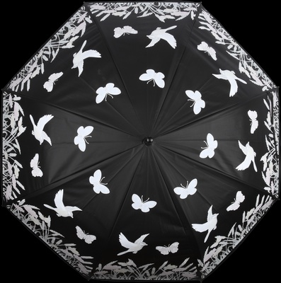 Paraguas Magico Pajaros que Cambian de Color